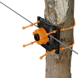 Tree firmly supported by Trellis Lock preventing it from blowing over.