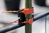 Close-up view of the Trellis Lock mechanism on a trellis wire