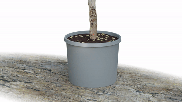 Potted plant anchored to the ground using the Hookstake system, preventing it from blowing over